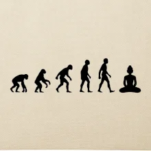 Evoluce budha