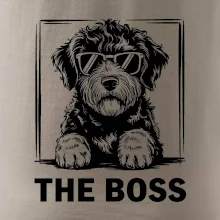 Lagotto romagnolo the boss Lagotto romagnolo the boss