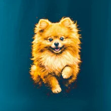 Obrázok poltón Pomoranský špic