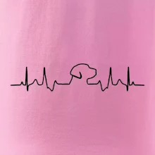 Labradorský retriever‎ EKG