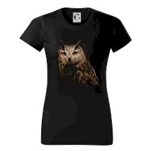 Sova fotka Sova fotka