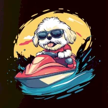 Lhasa Apso na vodnom skútri