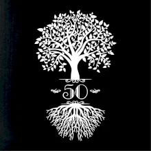 Narodeninový strom 50