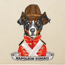 Napoleon domáci kríženec