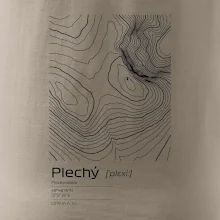 Plechý - vrstevnice v obdĺžniku