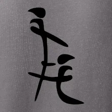 Čínský znak Čínský znak