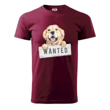 Zlatý retriever - šteniatko wanted