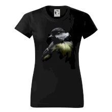 Sýkorka koňadra čierna fotka Sýkorka koňadra čierna fotka