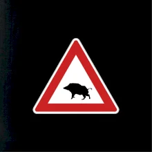 Dopravná značka - Pozor diviak