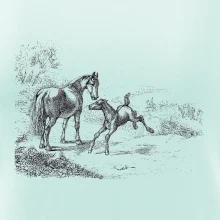 Kôň a žriebä maľované Kôň a žriebä maľované