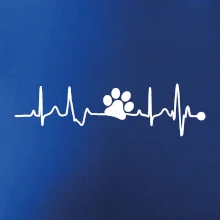 Ekg psia labka Ekg psia labka