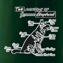 Nemecký ovčiak - Anatómia