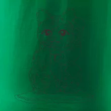 Mačka mávajúca mandala