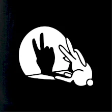 Zajac tieň mier Zajac tieň mier