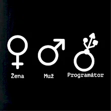 Muž žena programátor Muž žena programátor
