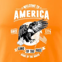 Welcome To America Welcome To America