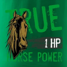 True Horse Power 1 HP True Horse Power 1 HP