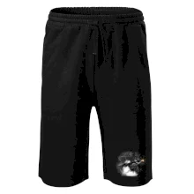 Vlak na koľajisku Vlak na koľajisku