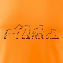 Americký stafordšírsky teriér v rôznych pozíciách