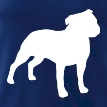 Americký stafordšírsky teriér Na prsníku