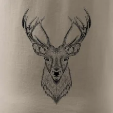 Jeleň kresba Jeleň kresba