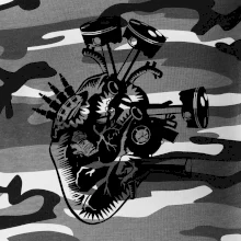 Vodičovo srdce Vodičovo srdce