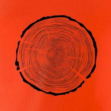 Letokruhy 100 bez veku