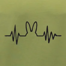EKG zajac