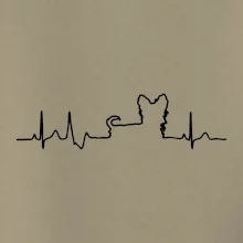 Yorkshirský teriér EKG