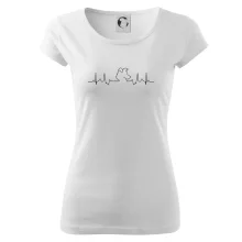 Borderská kólia EKG