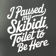 I Paused My Skibidi Toilet to be Here