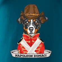 Napoleon domáci kríženec