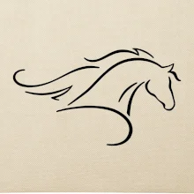 Kôň - bežiaci silueta hlavy