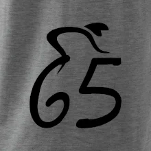 Cyklista oslavuje šesťdesiatpäťku (65)