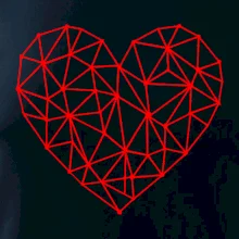 Srdce sieť Srdce sieť