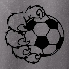 Medvedia laba futbal