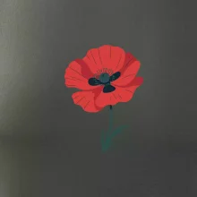 Vlčí mak kreslený veľký