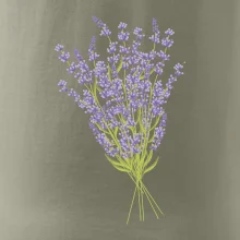 Levanduľa kreslená