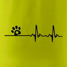 Veterinár EKG