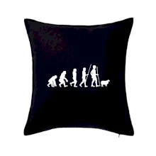 Evolúcia pastier oviec