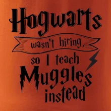 Harry - Hogwarts wasn’t hiring, so I teach Muggles instead