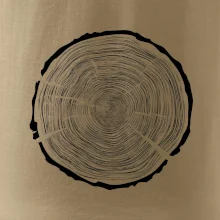 Letokruhy 100 bez veku Letokruhy 100 bez veku