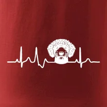 Lagotto romagnolo hlava EKG