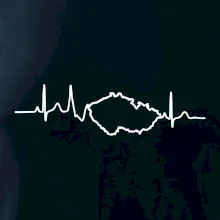 EKG Česká republika EKG Česká republika