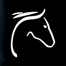 Kôň - hlava silueta