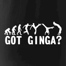 Capoeira - Got Ginga
