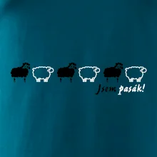 Som pasák - ovce v rade