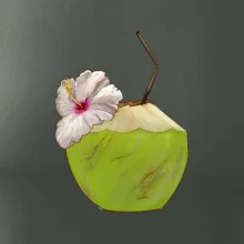 Kokosový nápoj Kokosový nápoj