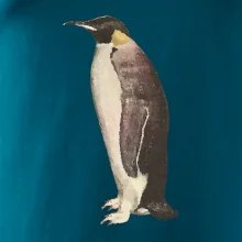 Tučniak kreslený vodovými farbami Tučniak kreslený vodovými farbami