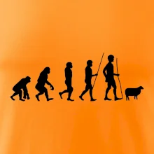 Evolúcia pastier oviec